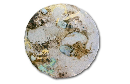 Aina Cortés Pinya presenta \