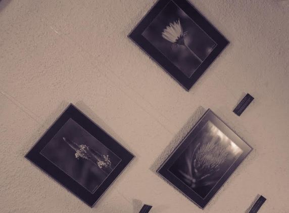 La macrofotografia de Iolanda Perich a la Biblioteca