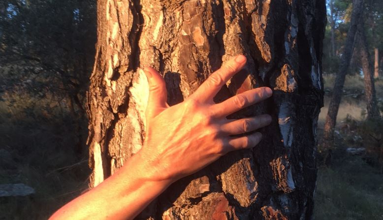 Performance de Géraldine Laurendeau a Cacis