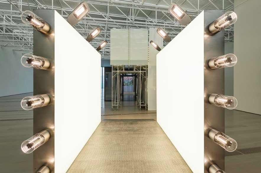 Carsten Höller selecciona 15 artistes per al Taller d\'Arts Plàstiques