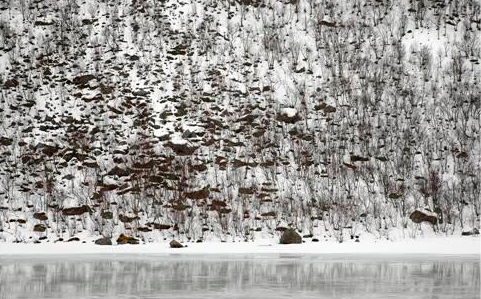 Galeria Horizon busca \