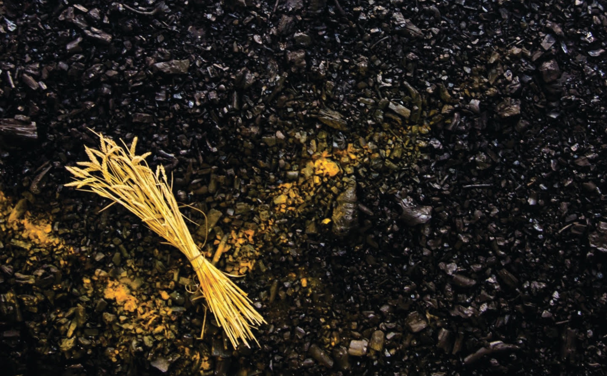 Marcos Tamargo participa a la Fira Internacional Art Marbella