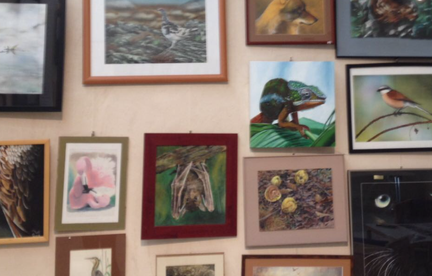 25 anys del Concurs de Dibuix i Pintura Memorial Albert Ramon Estarriol