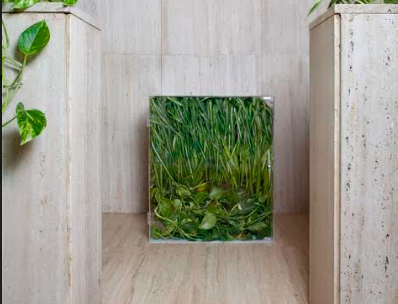 Nova sessió del cicle de conferències \'Full Frame\' al Cendeac