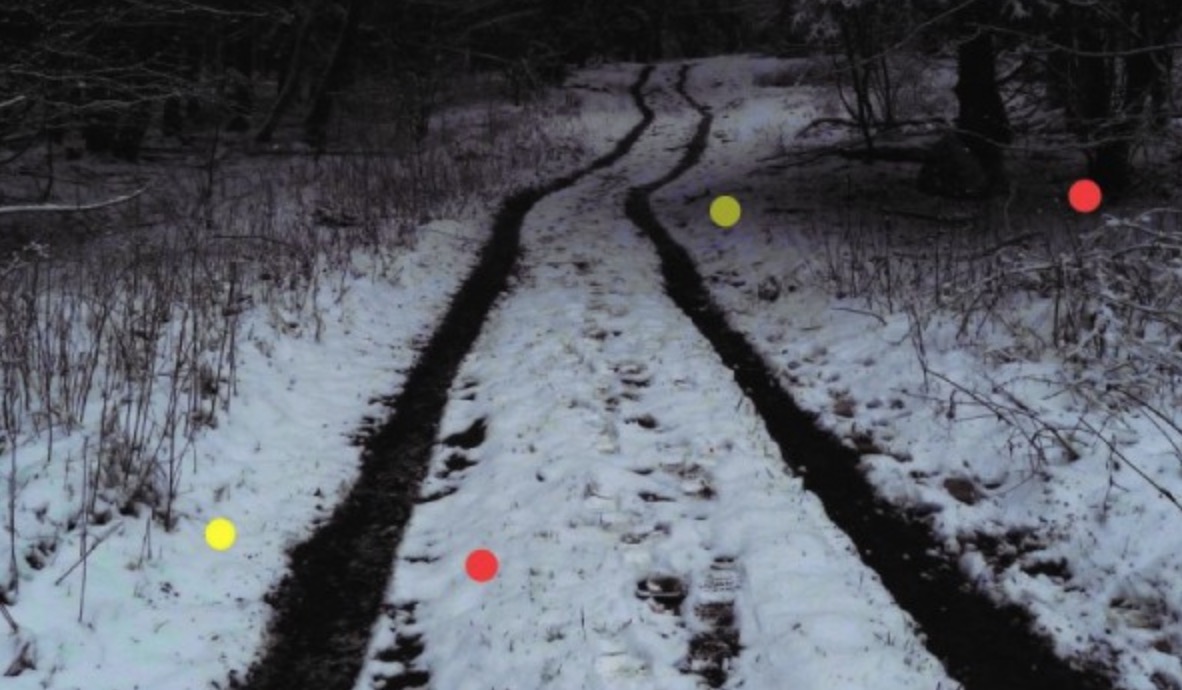 “Per què ens movem?”: S’obre la convocatòria de DOCfield Barcelona