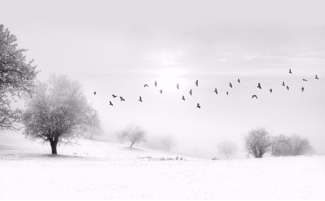 “Una + 2” a la galeria BAT Alberto Cornejo per l’Off de PHE2017