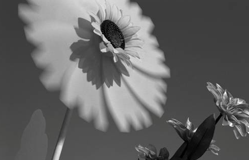 Alberto García Alix a la Galeria Juana de Aizpuru