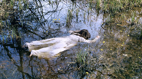 Bego Antón al CentroCentro Cibeles