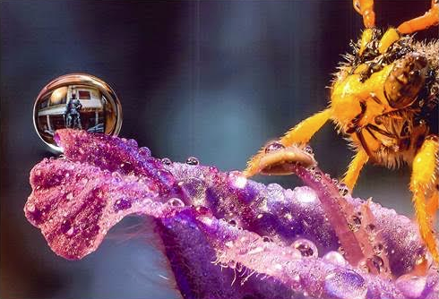 L’Àrea de Cultura convoca les bases del XVIII Concurs Imatges