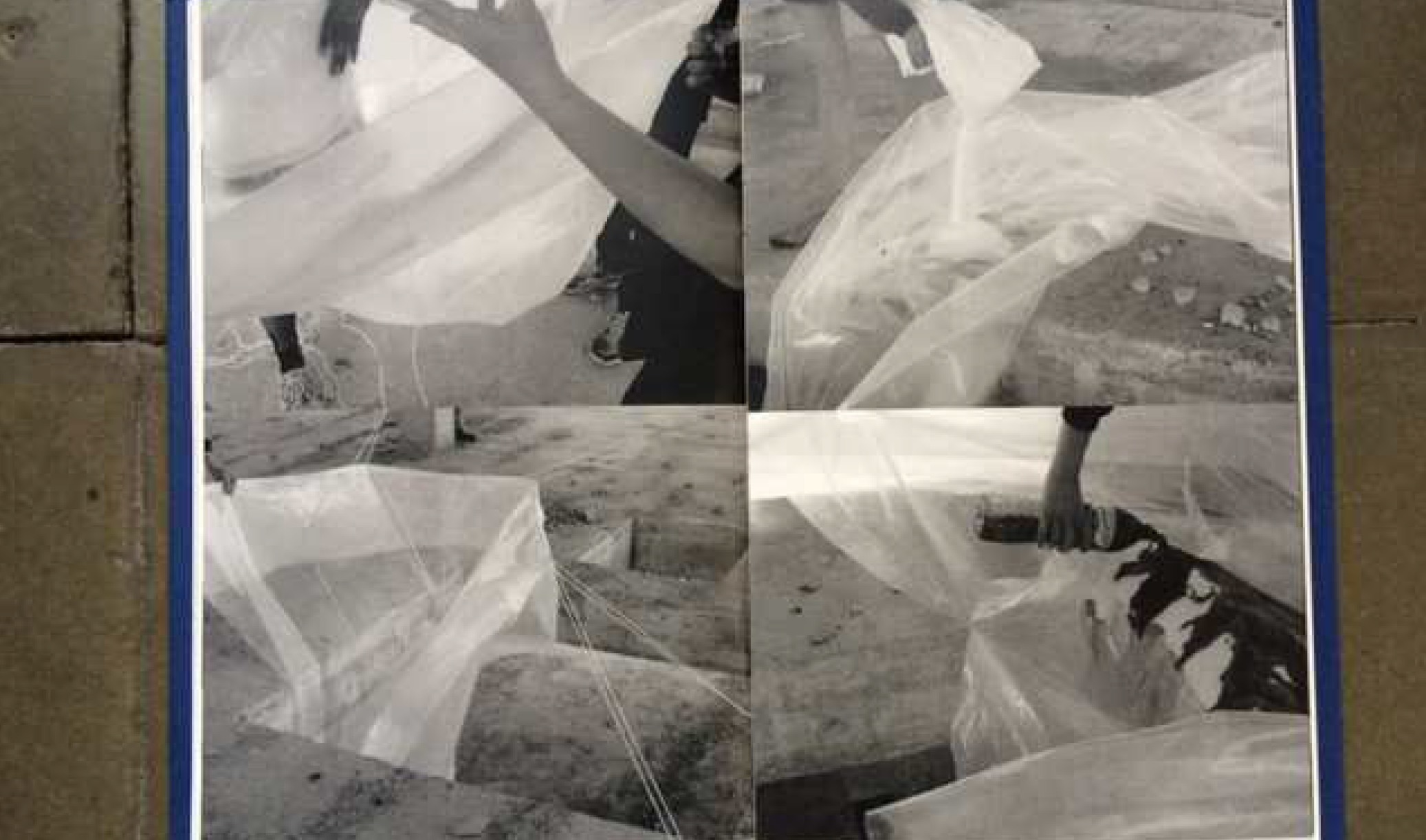 Arts Santa Mònica inaugura “Torrent Echidna Attractor” de Lucía C. Pino