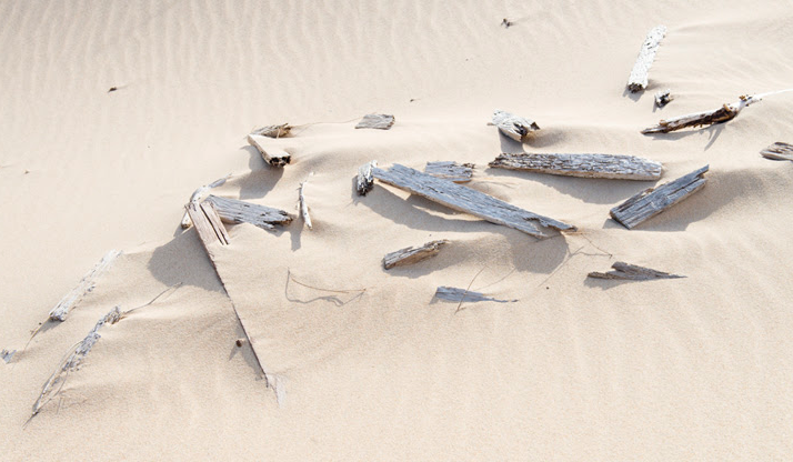 Les reveladors fotografies de Maria Primo a la galeria Fúcares Almagro