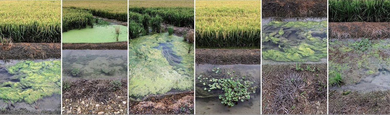 El Meca participa a la VI Trobada de les Arts i de les Lletres de la Mediterrània