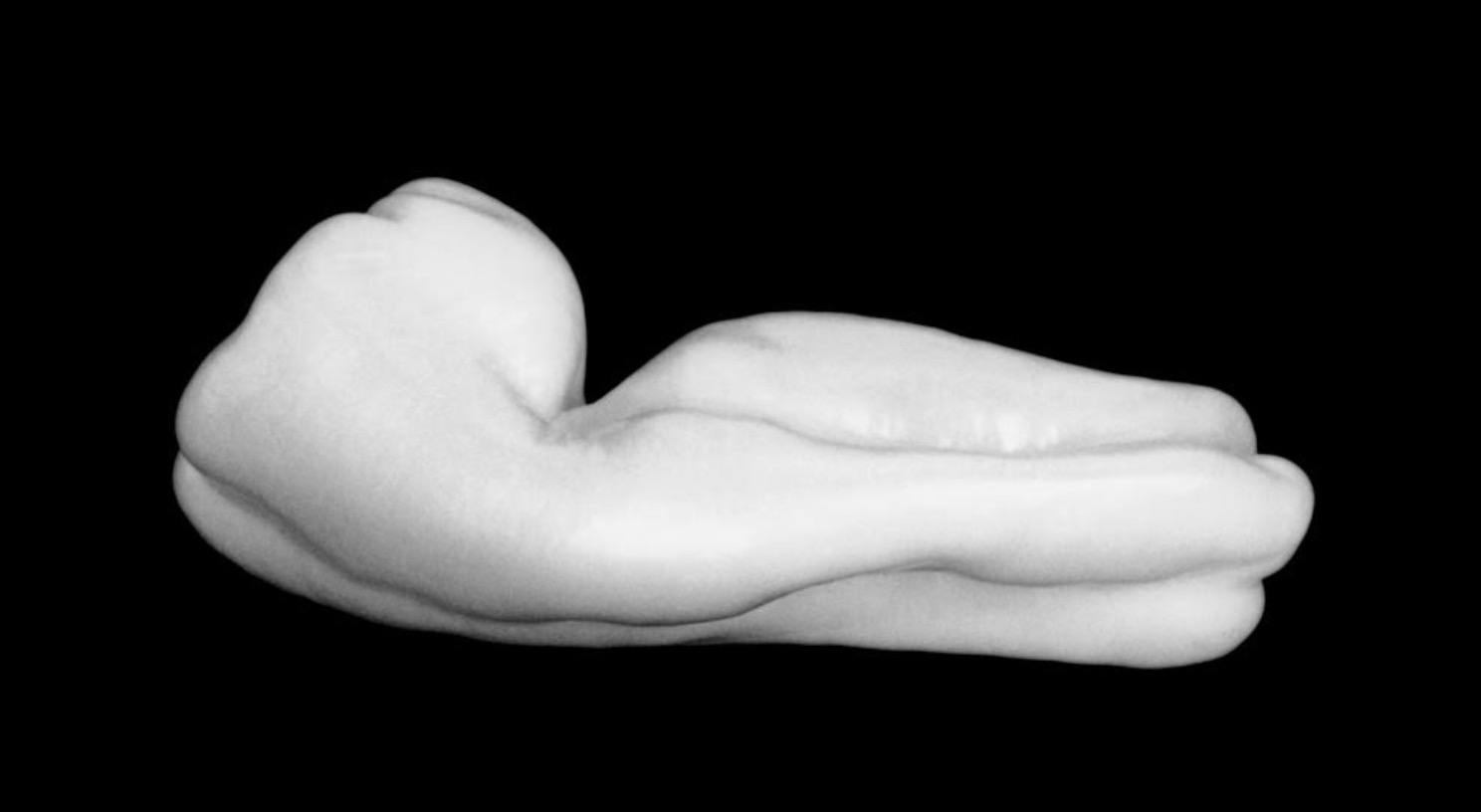 “Lifeline” de Mariana Cook, a l’OFF de PhotoEspaña