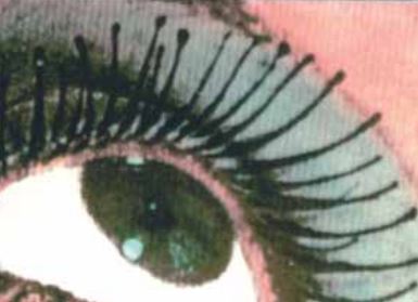 Retrospectiva del llibre de Jordi Cerdà i Claude Jeanmart a l\'Espai Betúlia