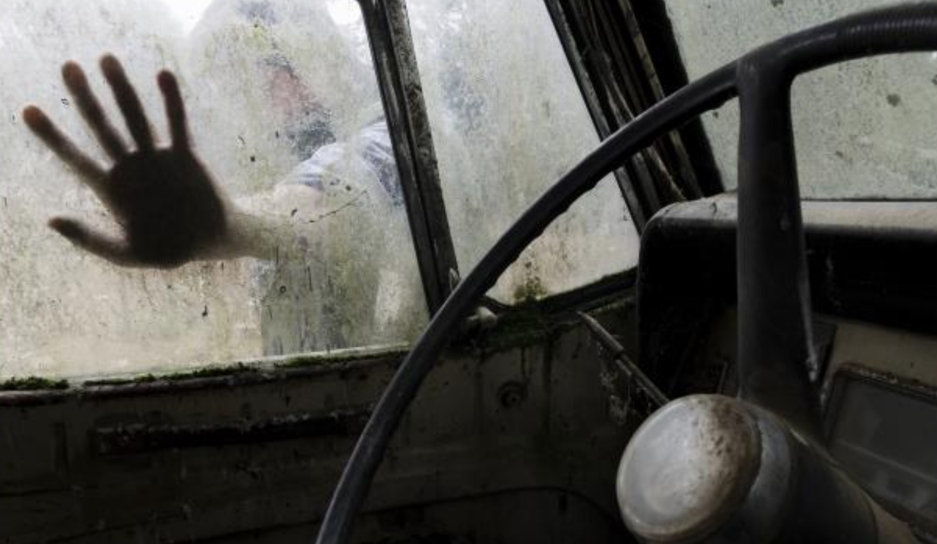 La vida i la mort de les ovelles: “Agnus” a Grisart