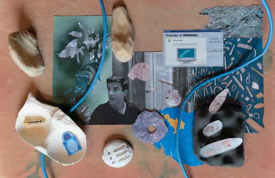 Edmundo Cook a la Galeria Bacelos