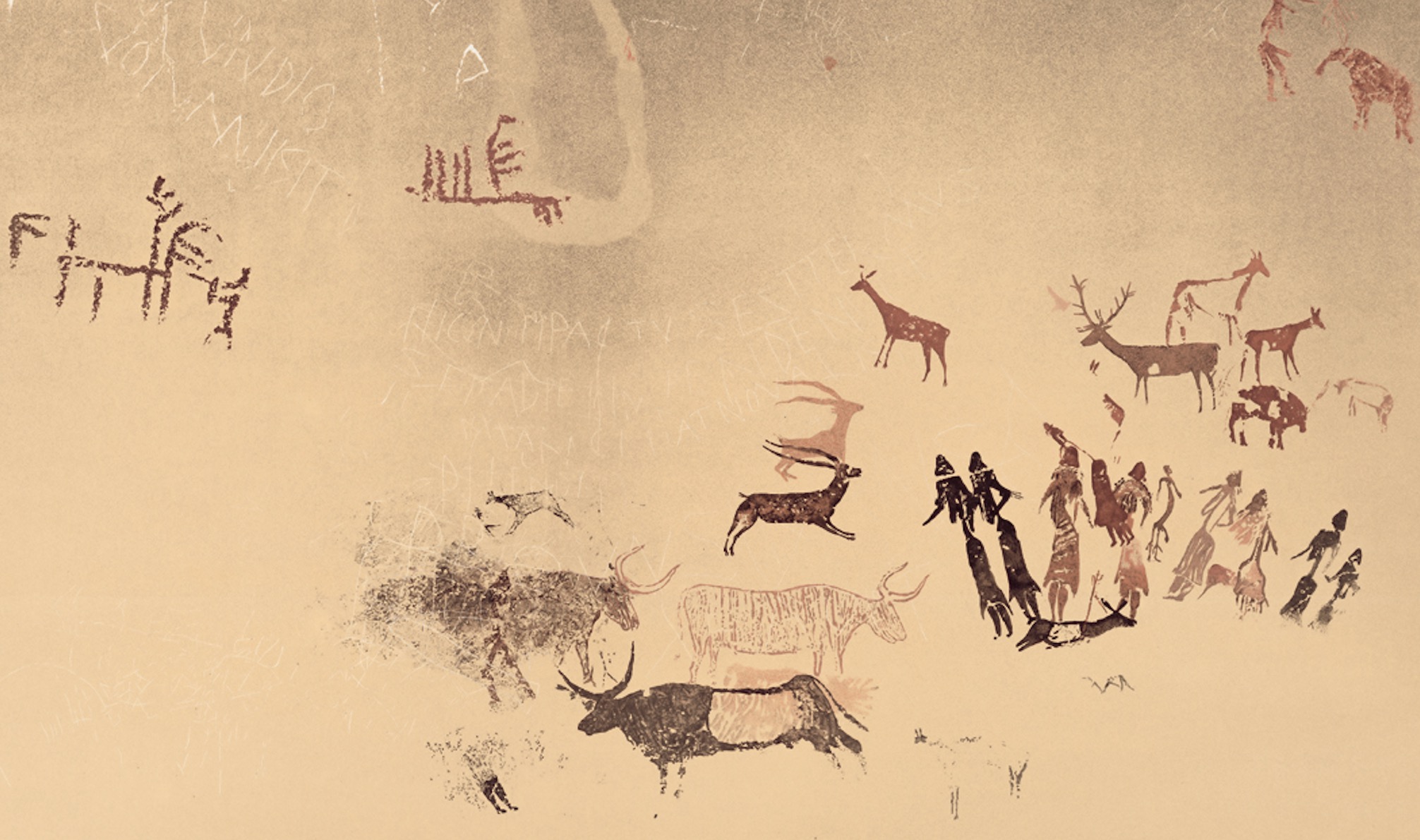 Noves exposicions als museus de Banyoles