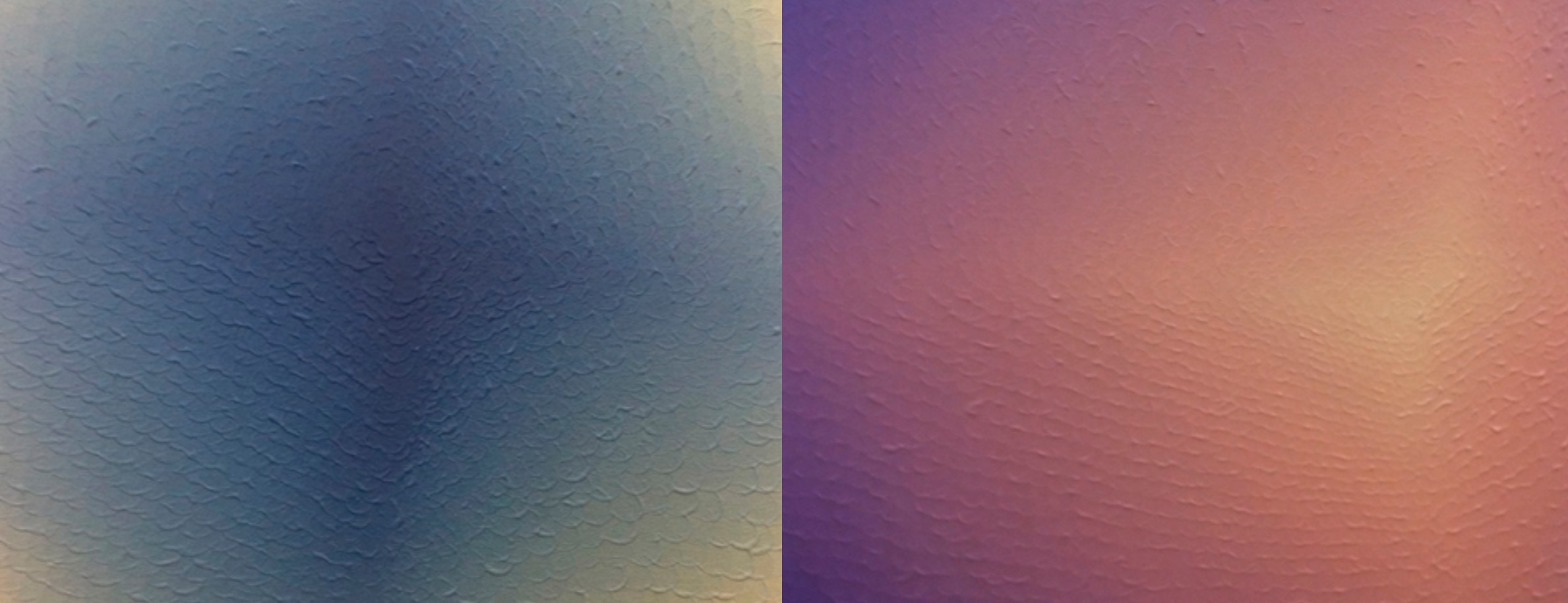 Les obres recents d’Antonio Mesones, a la galeria Pilar Serra