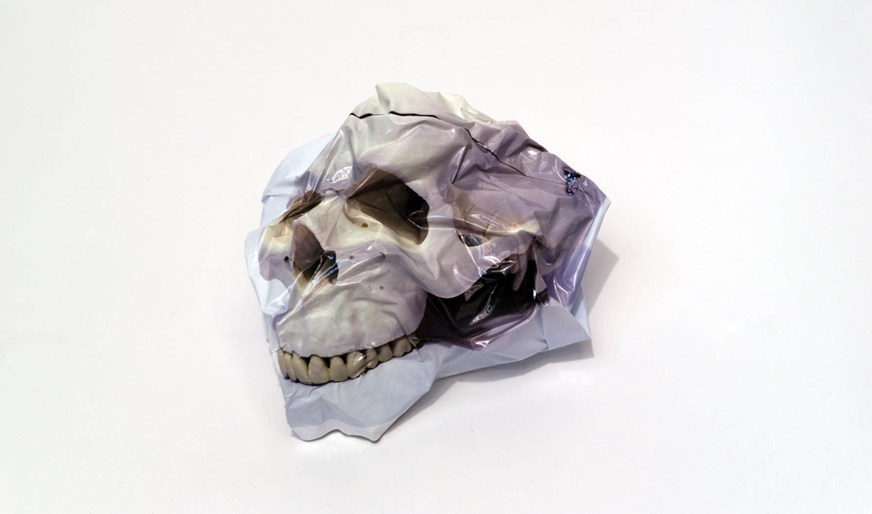 En marxa l’Espai Ankaria UCM per promoure la creació i la investigació entorn a la Gràfica