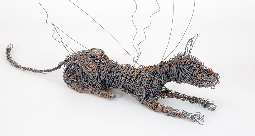 Visita comentada a l\'exposició \