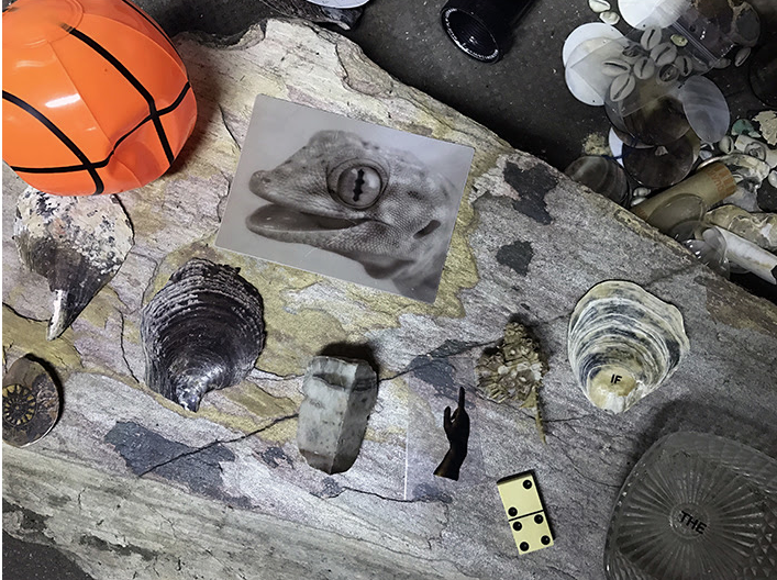 Nogueras Blanchard presenta \