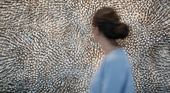 Op Art i Art cinètic a la col·lecció Würth