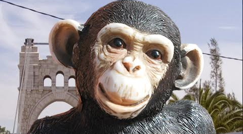 Lo Pati celebra les noces d\'argent de la mona Micaela