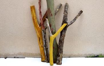 Martí Boada presenta cal·ligrafies del bosc al Museu del Suro