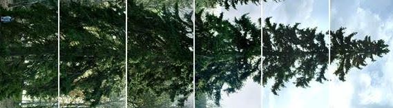 El MAC acull dues exposicions d\'artistes de primer nivell