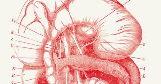 El disseny fet amb les tripes, emociona?