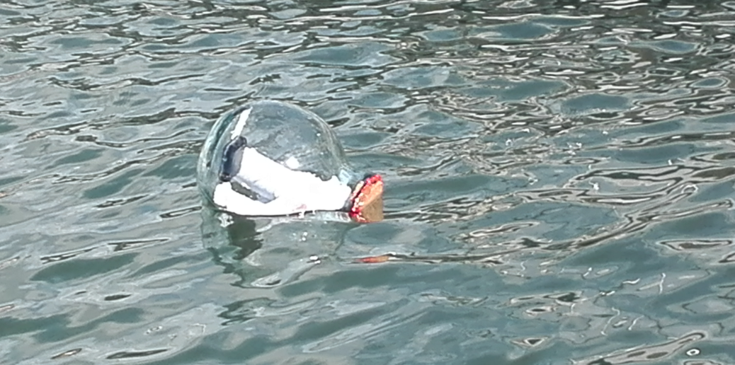 Irantzu Lekue conclou el projecte # 10mila Joan Etorrian