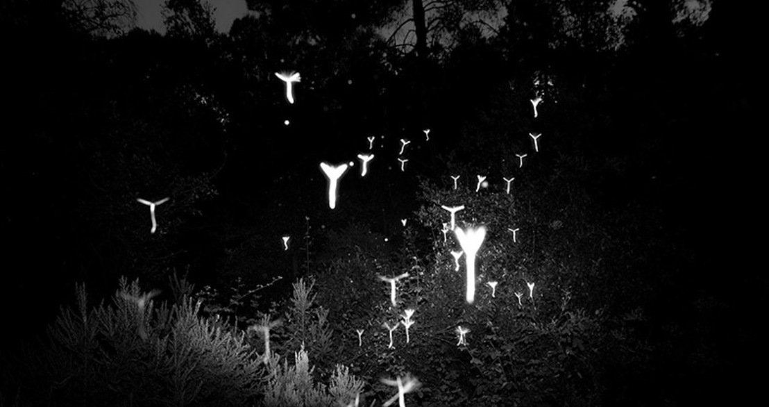 Pàtric Marín a la Galeria Fotogràfica ilmondo