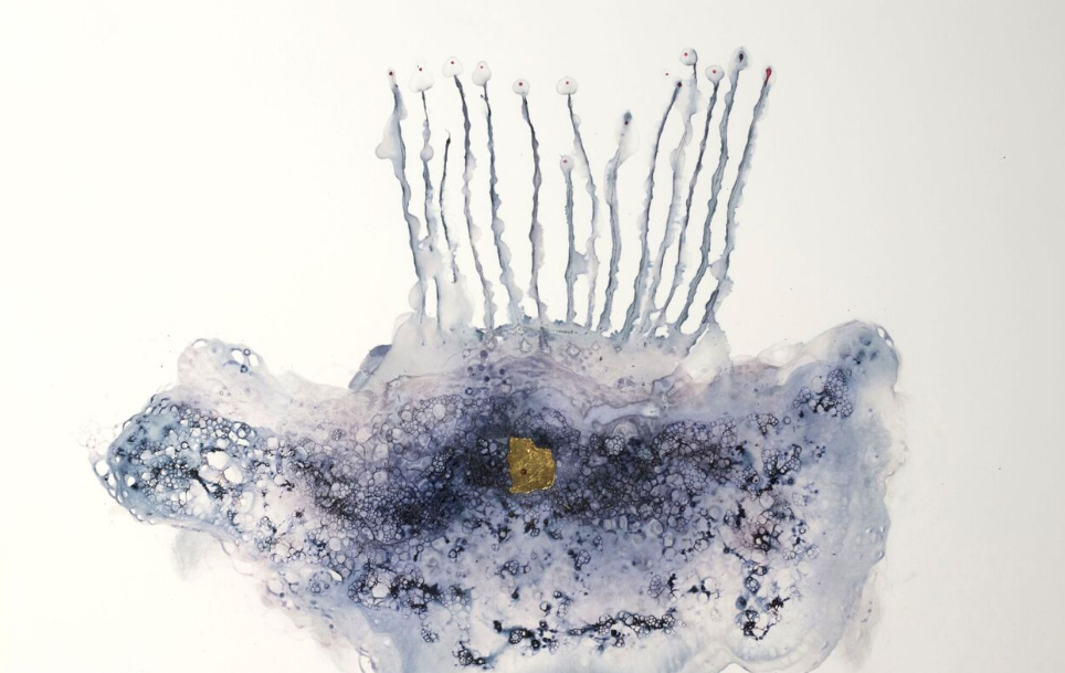 Programa d\'exposicions de febrer de la Casa Elizalde