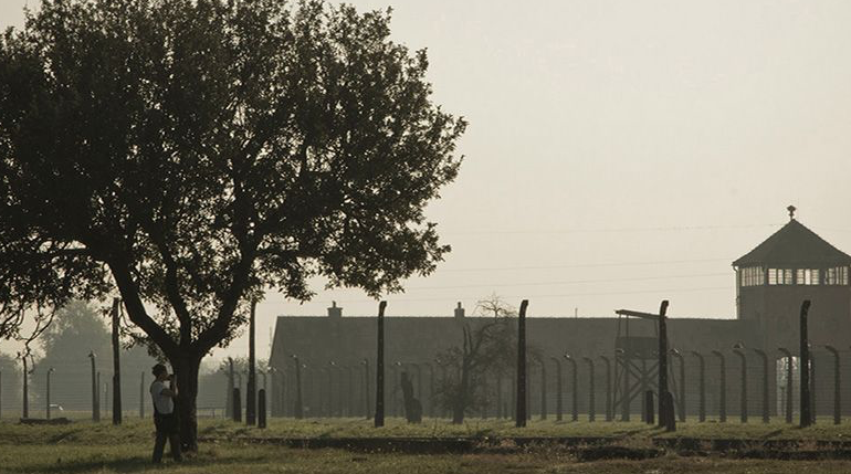 Instal·lació de Marta Marín-Dòmine al MUHBA