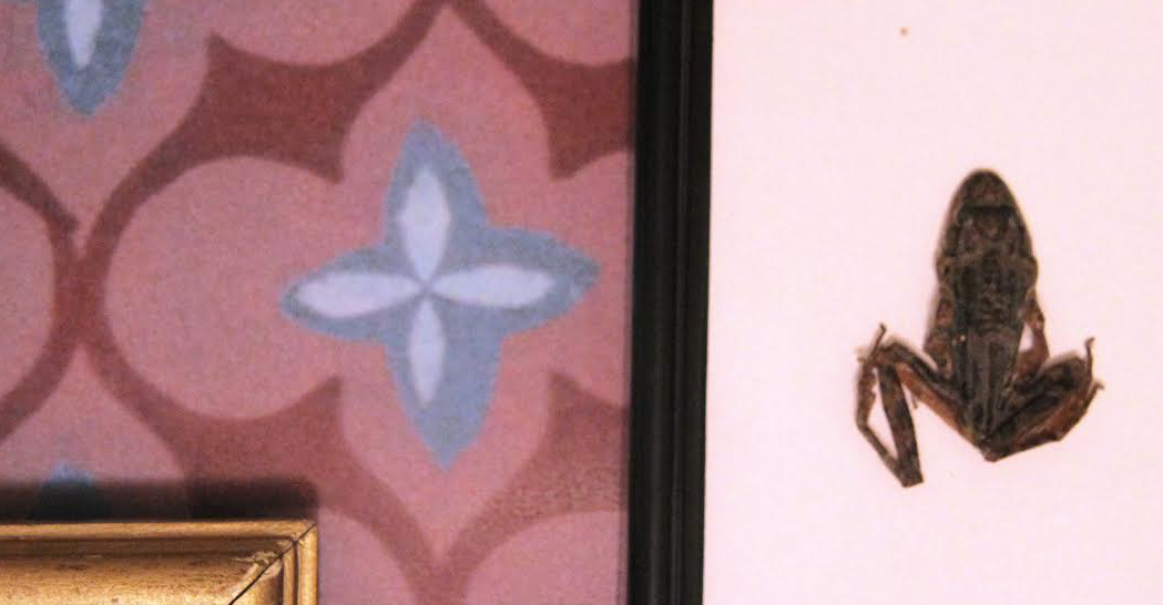 Barbara Cardella guanya la segona Beca Espai