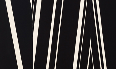 David Rhodes exposa \