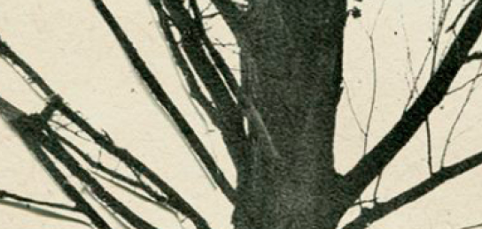 Rabaza obre la programació del 2017 de l\'(A)parador 22 i l\'Espai 22 