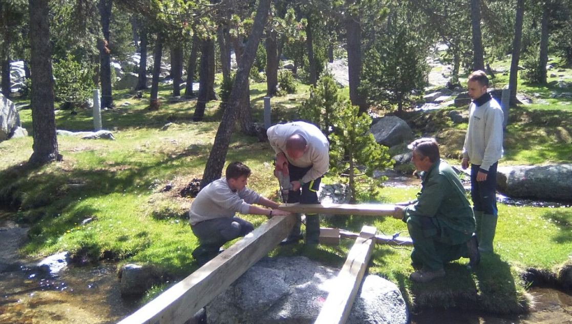 Protecció de l\'entorn natural