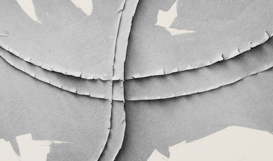 Activitats de la Fundació Fita