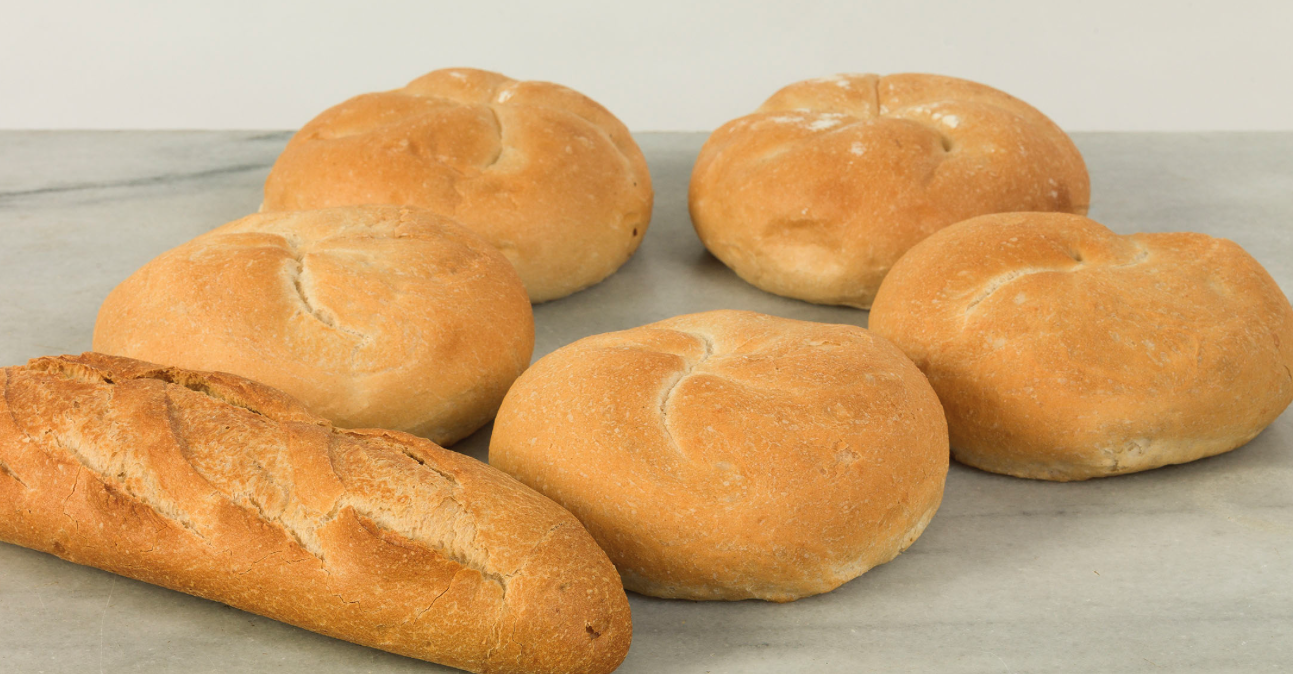 Visita guiada i presentació del catàleg de Tangències a la Casa Empordà