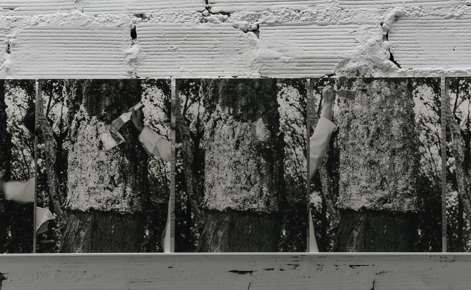 Com exposar en una galeria #13: Insegurs