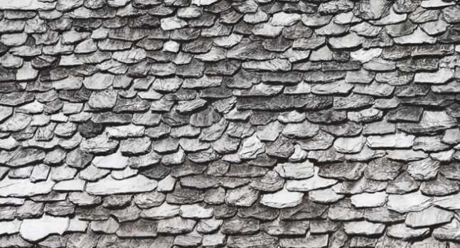 Rocio Santa Cruz Art a Untitled Miami Beach 2016