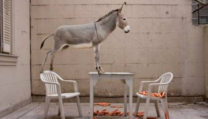 Lola García Garrido a Eurostars Central