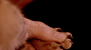 Alex Reynolds a la Galeria Marta Cervera