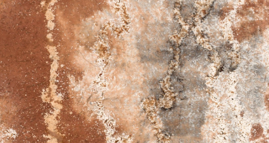 Naoaki Sakamoto a la galeria Michel Soskine Inc.