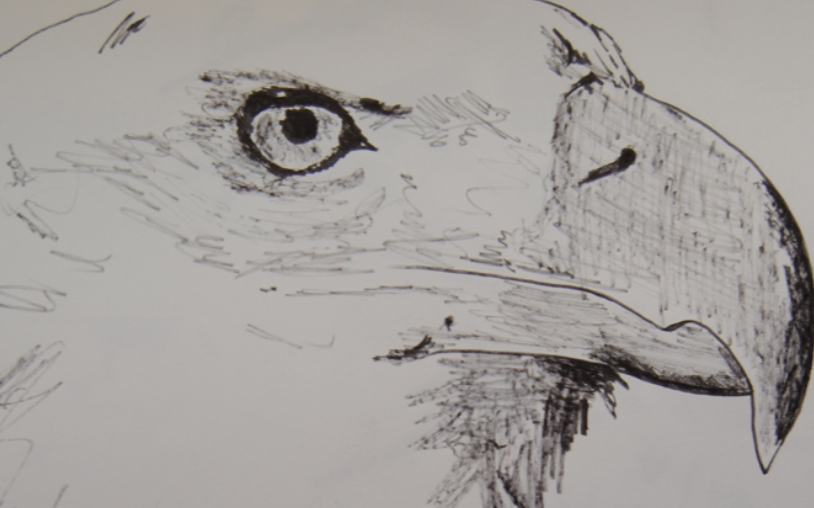 Fran Ramírez a la Galeria Fúcares