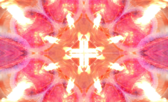 Albert Lerycke a l\'Espai d\'Art 32