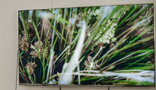 Els premis de la Fira Swab 2016