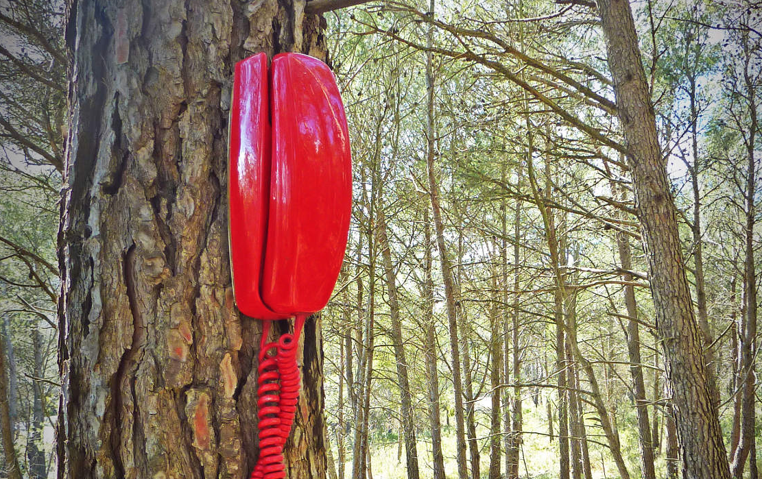 Lo Pati presenta la proposta \