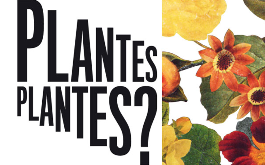 instal·lacions vegetals per les Façanes del Palau Moja i Palau Marc